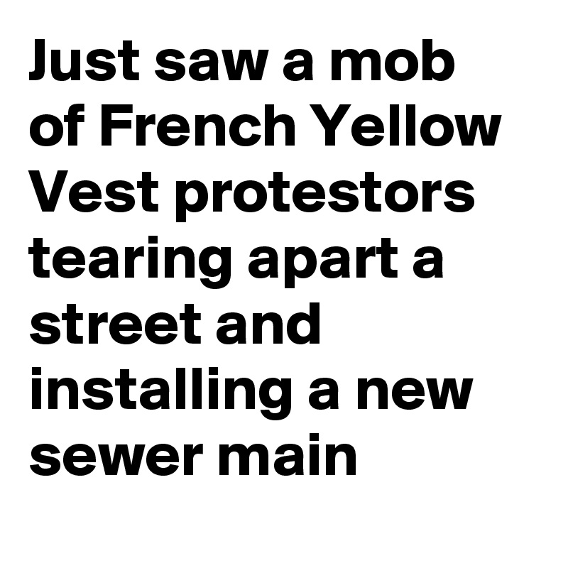 Just saw a mob of French Yellow Vest protestors tearing apart a street and installing a new sewer main