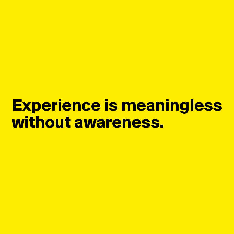 




Experience is meaningless without awareness. 




