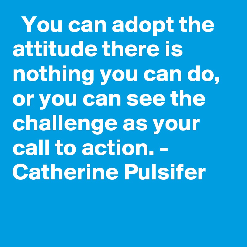   You can adopt the attitude there is nothing you can do, or you can see the challenge as your call to action. - Catherine Pulsifer
