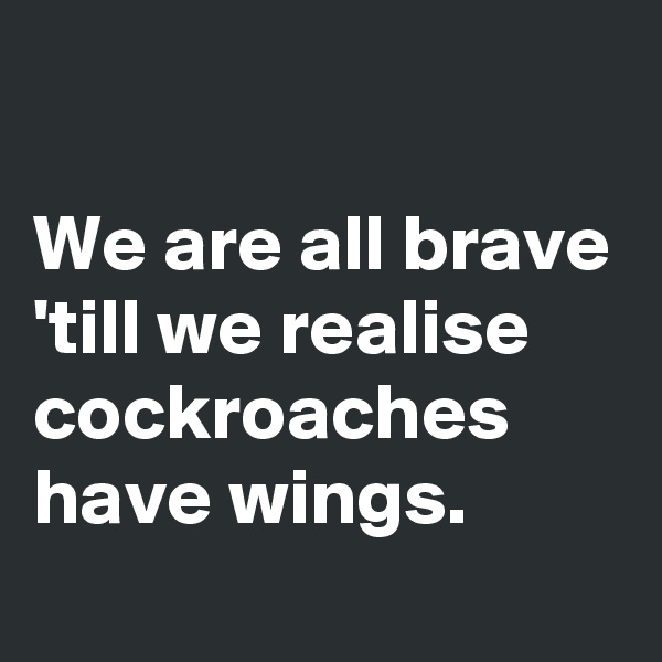 

We are all brave 'till we realise cockroaches have wings.
