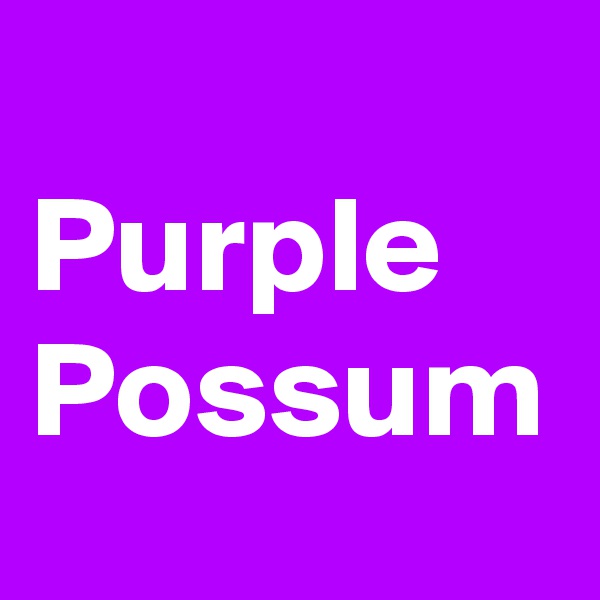 
Purple Possum