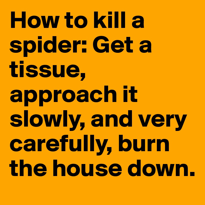 How to kill a spider: Get a tissue, approach it slowly, and very carefully, burn the house down. 