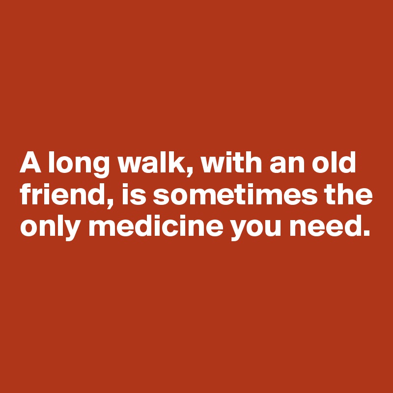 



A long walk, with an old friend, is sometimes the only medicine you need.



