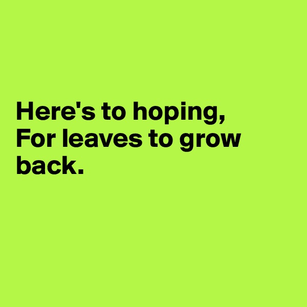 


Here's to hoping,
For leaves to grow back.



