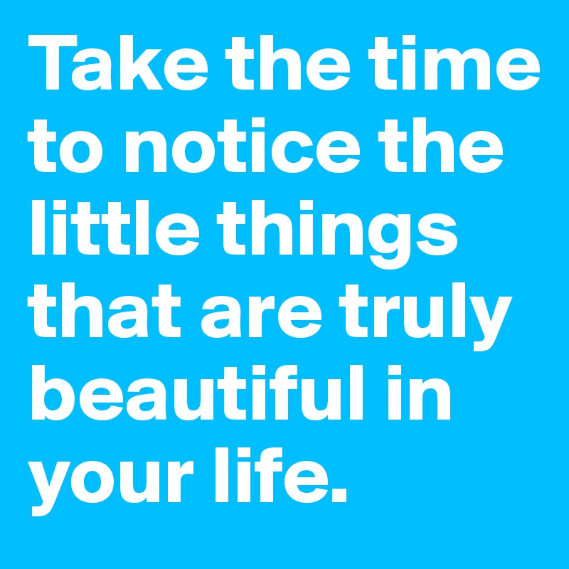 Take the time to notice the little things that are truly beautiful in your life.