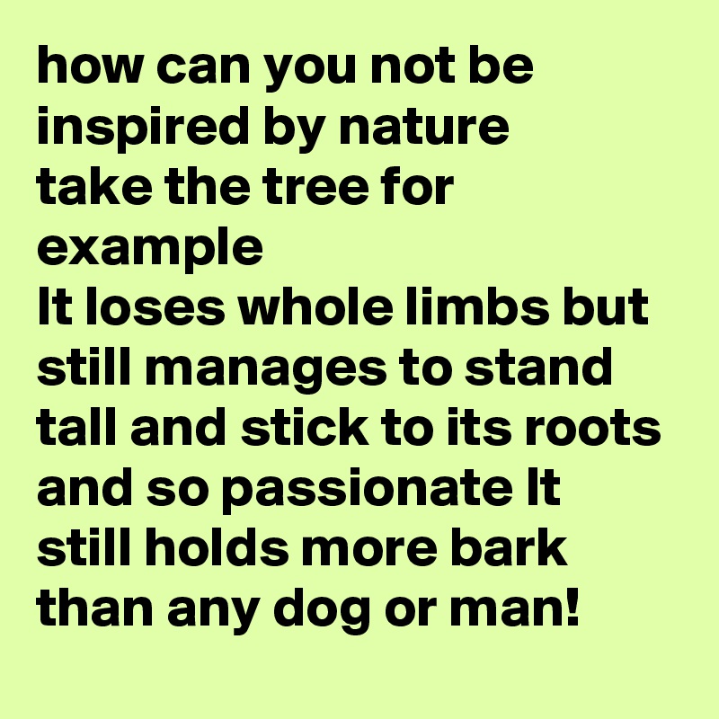 how can you not be inspired by nature
take the tree for example 
It loses whole limbs but still manages to stand tall and stick to its roots and so passionate It still holds more bark than any dog or man!