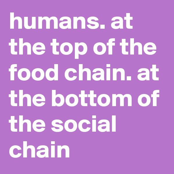 humans. at the top of the food chain. at the bottom of the social chain