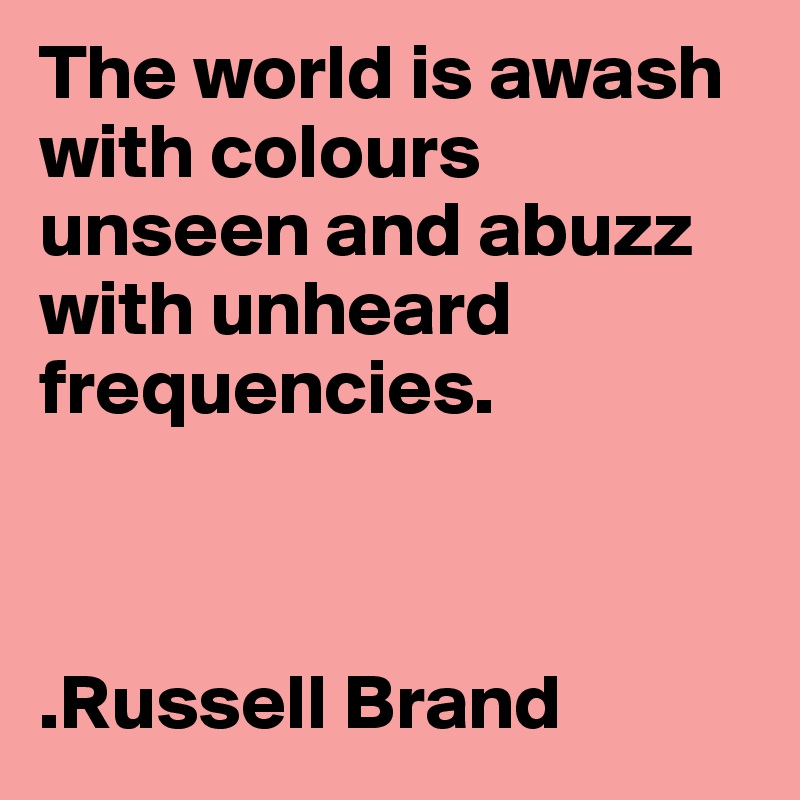 The world is awash with colours unseen and abuzz with unheard frequencies. 



.Russell Brand