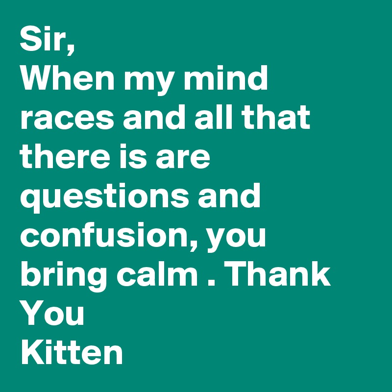 Sir,
When my mind races and all that there is are questions and confusion, you bring calm . Thank You
Kitten