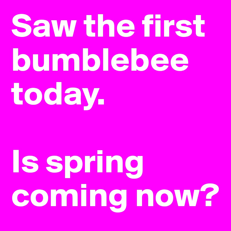 Saw the first bumblebee today. 

Is spring coming now? 