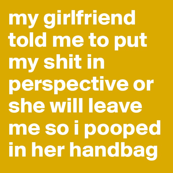 my girlfriend told me to put my shit in perspective or she will leave me so i pooped in her handbag