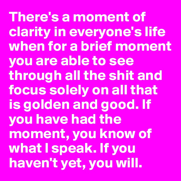 There's a moment of clarity in everyone's life when for a brief moment you are able to see through all the shit and focus solely on all that is golden and good. If you have had the moment, you know of what I speak. If you haven't yet, you will.