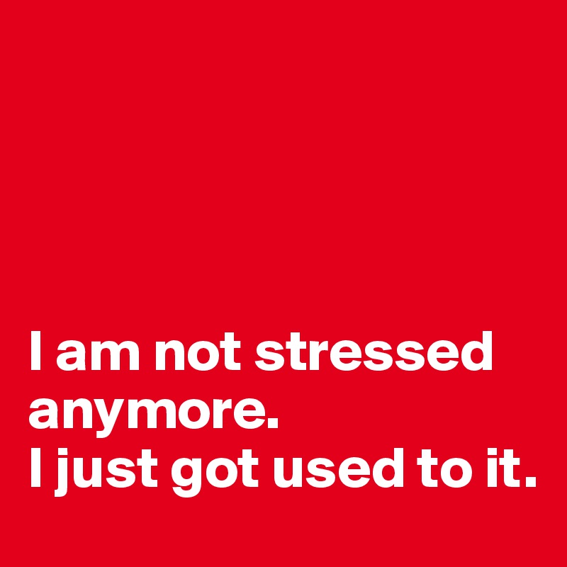 




I am not stressed anymore.
I just got used to it.