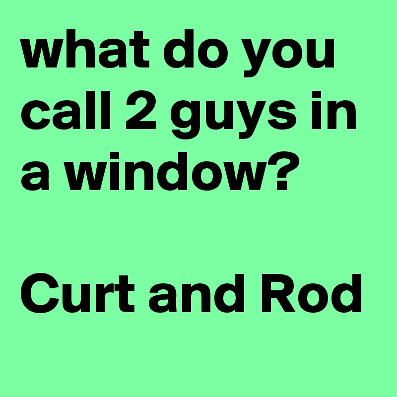what do you call 2 guys in a window?

Curt and Rod