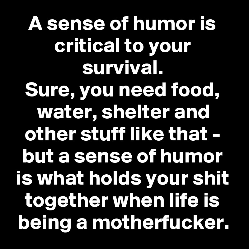 A sense of humor is critical to your survival.
Sure, you need food, water, shelter and other stuff like that - but a sense of humor is what holds your shit together when life is being a motherfucker.