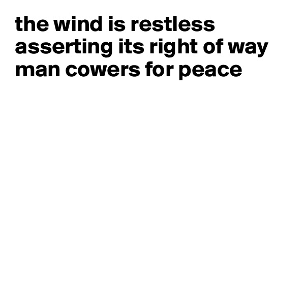 the wind is restless
asserting its right of way
man cowers for peace 









