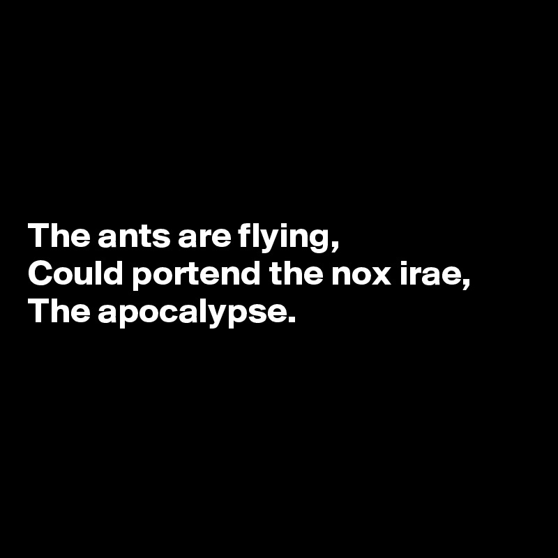 




The ants are flying,
Could portend the nox irae,
The apocalypse.




