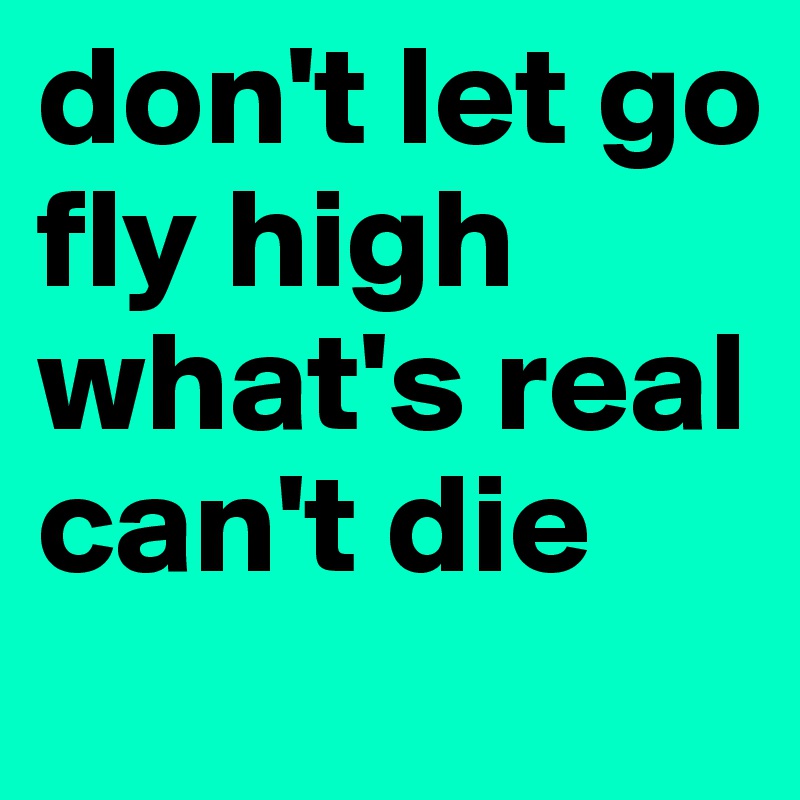 don't let go
fly high
what's real can't die