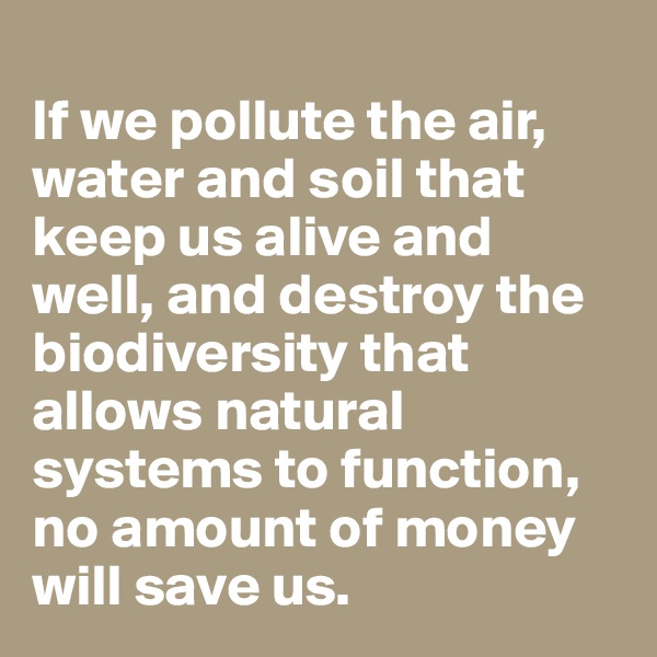 
If we pollute the air, water and soil that keep us alive and well, and destroy the biodiversity that allows natural systems to function, no amount of money will save us.