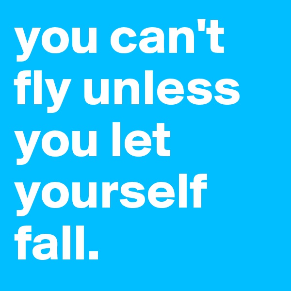 you can't fly unless you let yourself fall. 