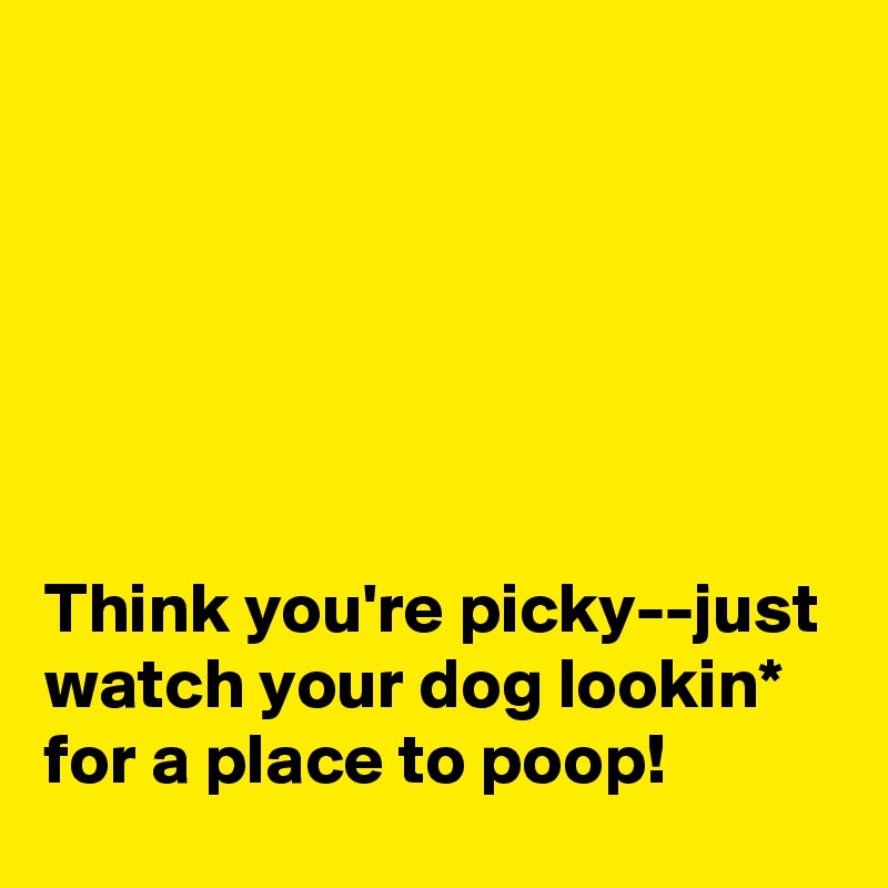 






Think you're picky--just watch your dog lookin* for a place to poop!