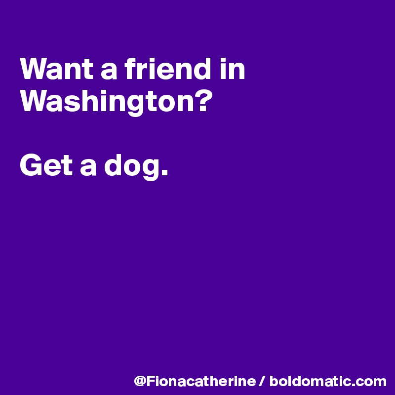 
Want a friend in Washington?

Get a dog.





