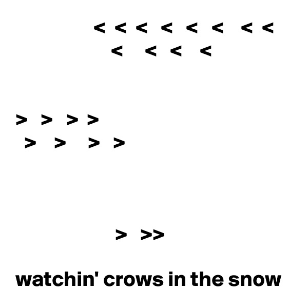                   <  <  <   <   <   <    <  <                          <     <   <    <   


>   >   >  >
  >    >     >   >


                                                                                      >   >>

watchin' crows in the snow