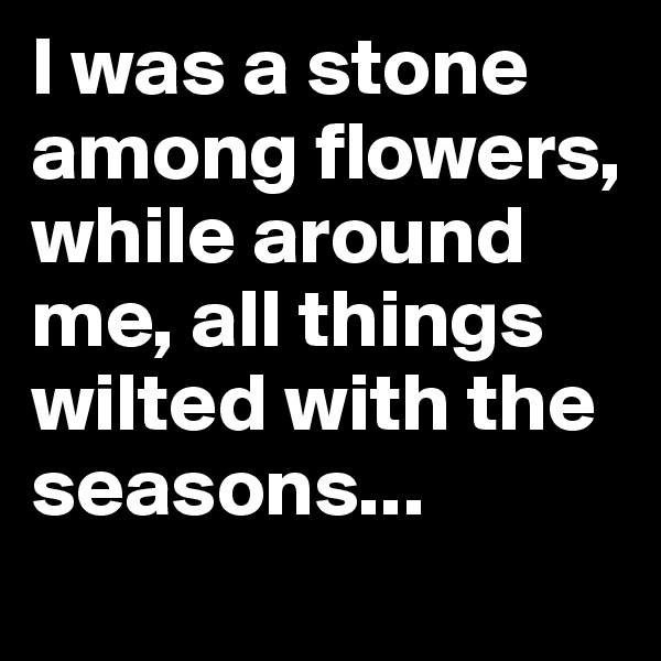 I was a stone among flowers, while around me, all things wilted with the seasons...
