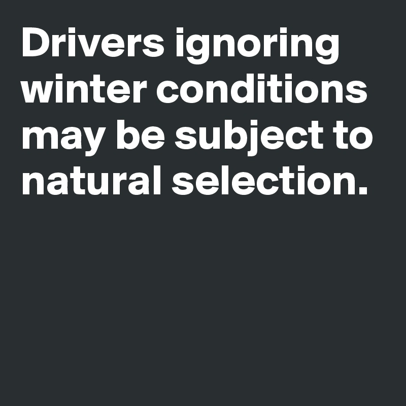 Drivers ignoring winter conditions may be subject to natural selection.



