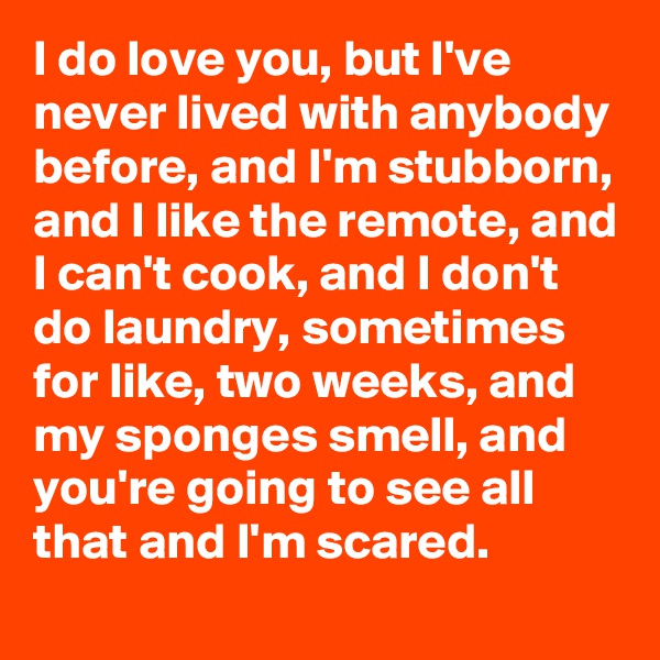 I do love you, but I've never lived with anybody before, and I'm stubborn, and I like the remote, and I can't cook, and I don't do laundry, sometimes for like, two weeks, and my sponges smell, and you're going to see all that and I'm scared.