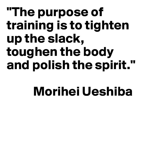 "The purpose of training is to tighten up the slack, toughen the body and polish the spirit."

          Morihei Ueshiba

