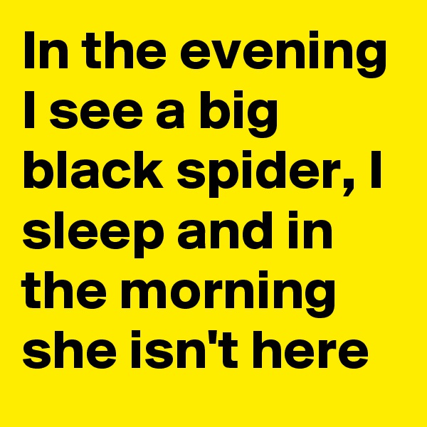 In the evening I see a big black spider, I sleep and in the morning she isn't here
