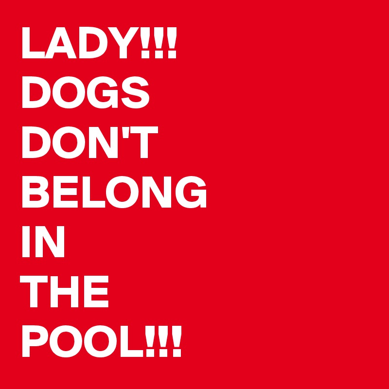 LADY!!!
DOGS 
DON'T
BELONG
IN
THE 
POOL!!!