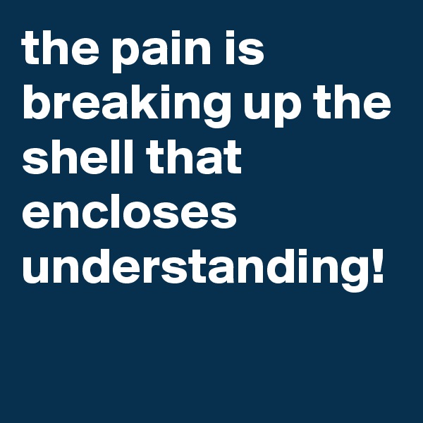 the pain is breaking up the shell that encloses understanding!