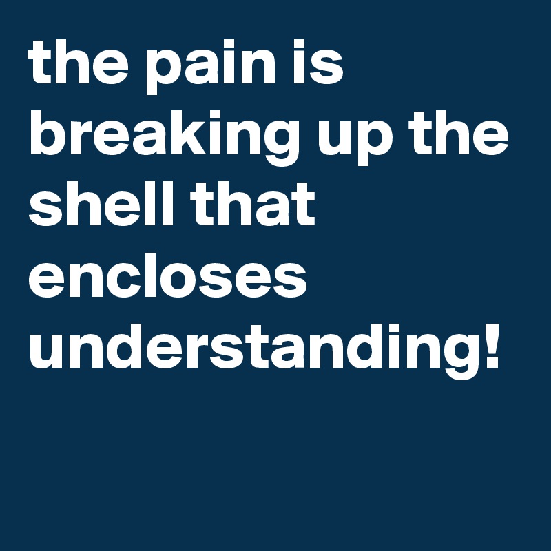the pain is breaking up the shell that encloses understanding!