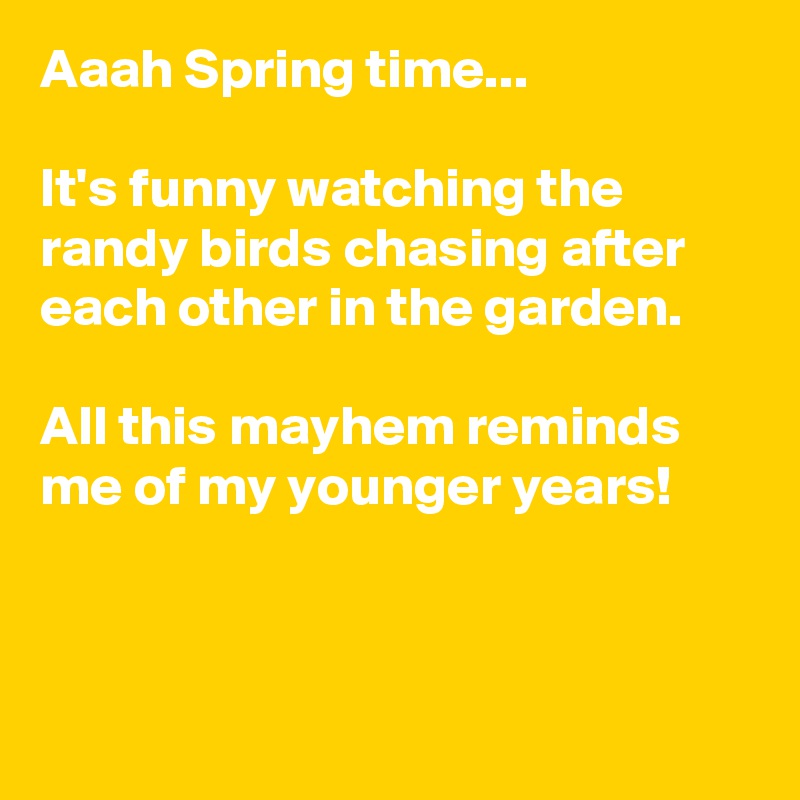 Aaah Spring time...

It's funny watching the randy birds chasing after each other in the garden.  

All this mayhem reminds me of my younger years!



