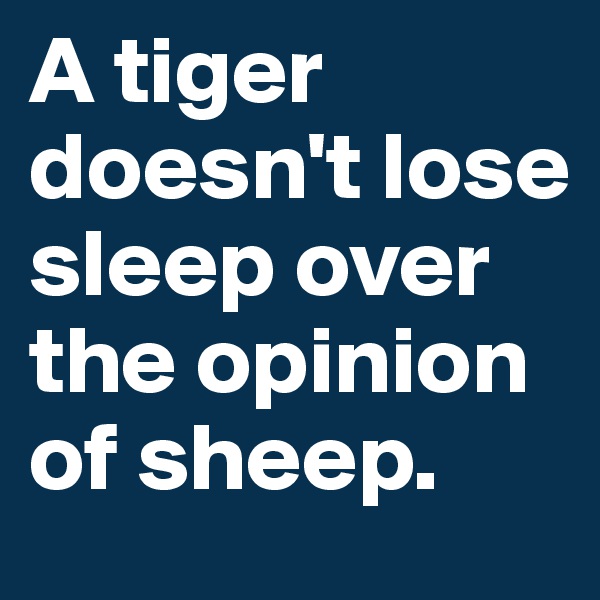 A tiger doesn't lose sleep over the opinion of sheep.