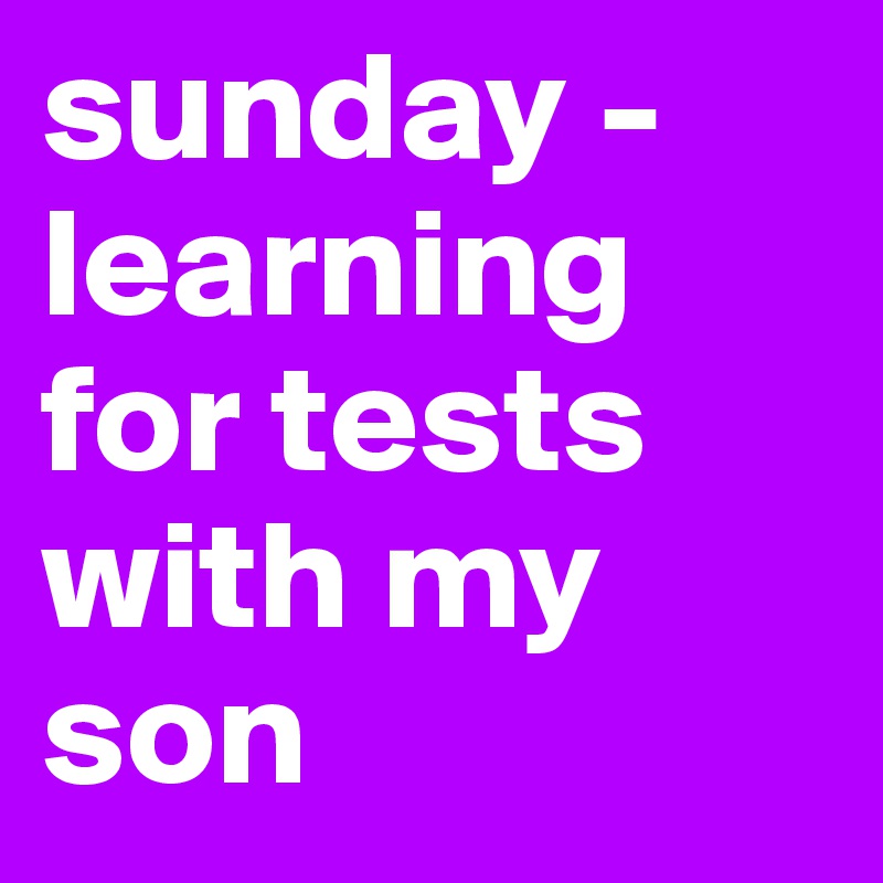 sunday - learning for tests with my son