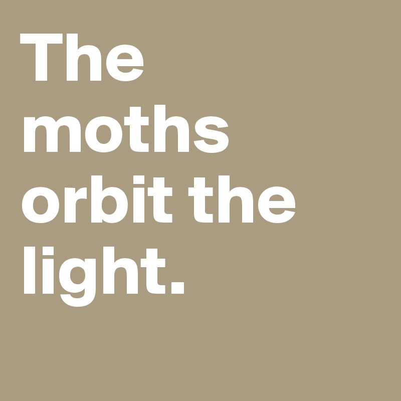 The 
moths orbit the light. 
