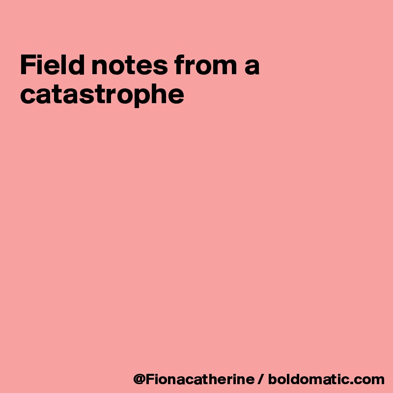 
Field notes from a catastrophe








