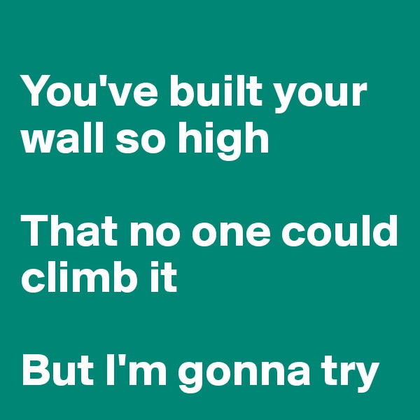 
You've built your wall so high

That no one could climb it

But I'm gonna try