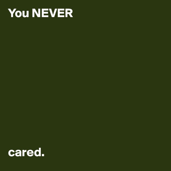 You NEVER










cared.