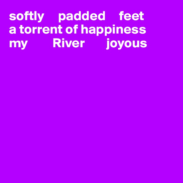 softly     padded     feet
a torrent of happiness
my         River        joyous








