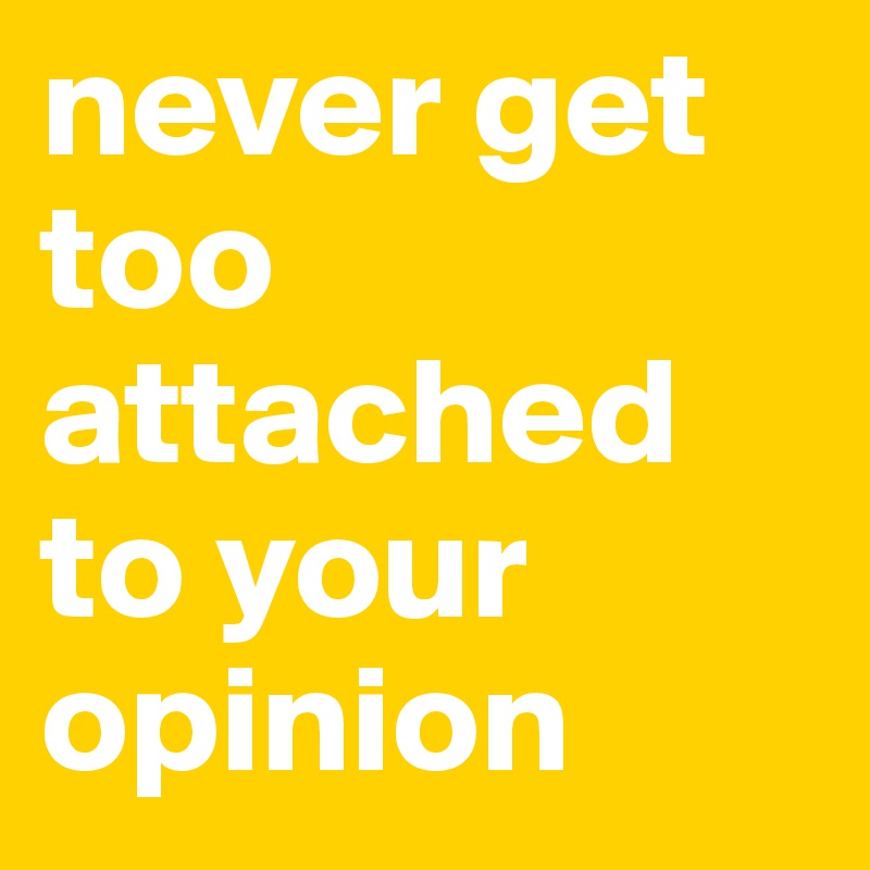never get too attached to your opinion