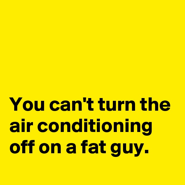 



You can't turn the air conditioning off on a fat guy.