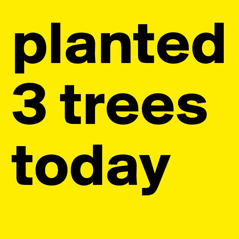 planted 3 trees today