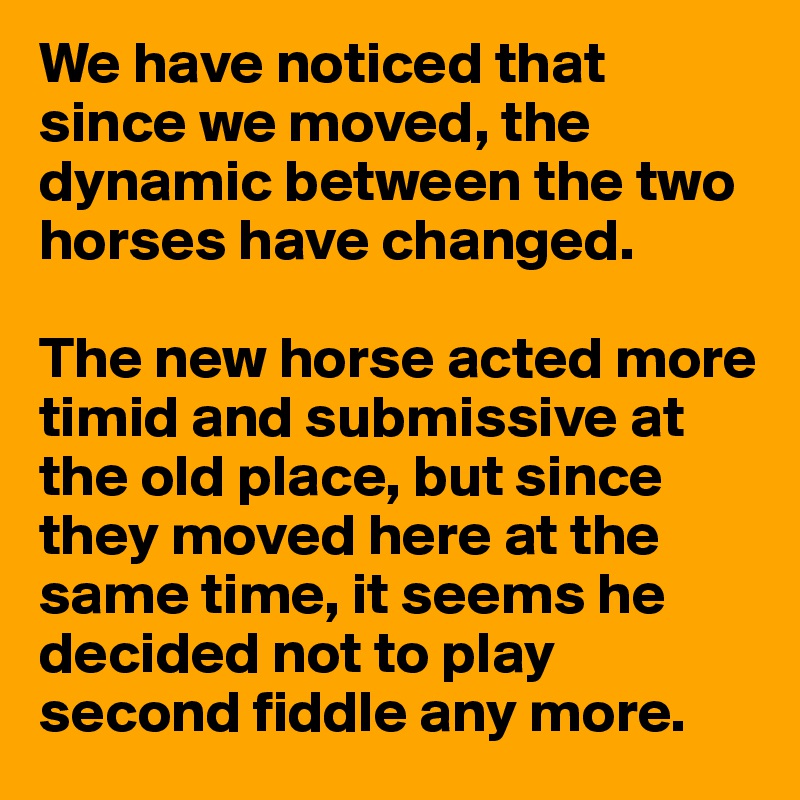 We have noticed that since we moved, the dynamic between the two horses have changed.

The new horse acted more timid and submissive at the old place, but since they moved here at the same time, it seems he decided not to play second fiddle any more.