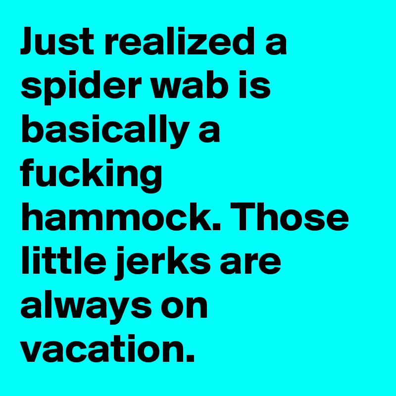 Just realized a spider wab is basically a fucking hammock. Those little jerks are always on vacation.