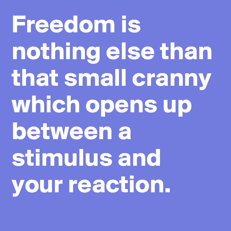 Freedom is nothing else than that small cranny which opens up between a stimulus and your reaction. 