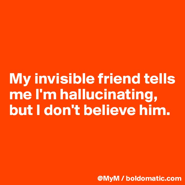 



My invisible friend tells me I'm hallucinating, but I don't believe him.


